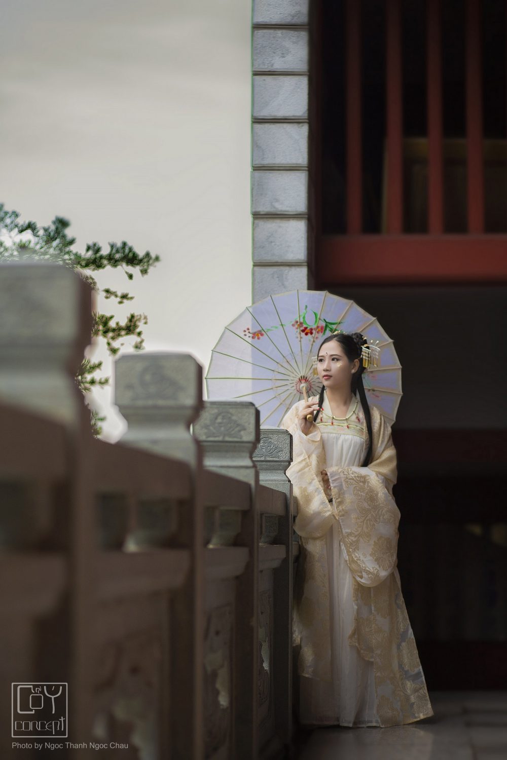 Chụp Ảnh Cổ Trang - Vinh Cơ - HẬU VŨ - Hình 7