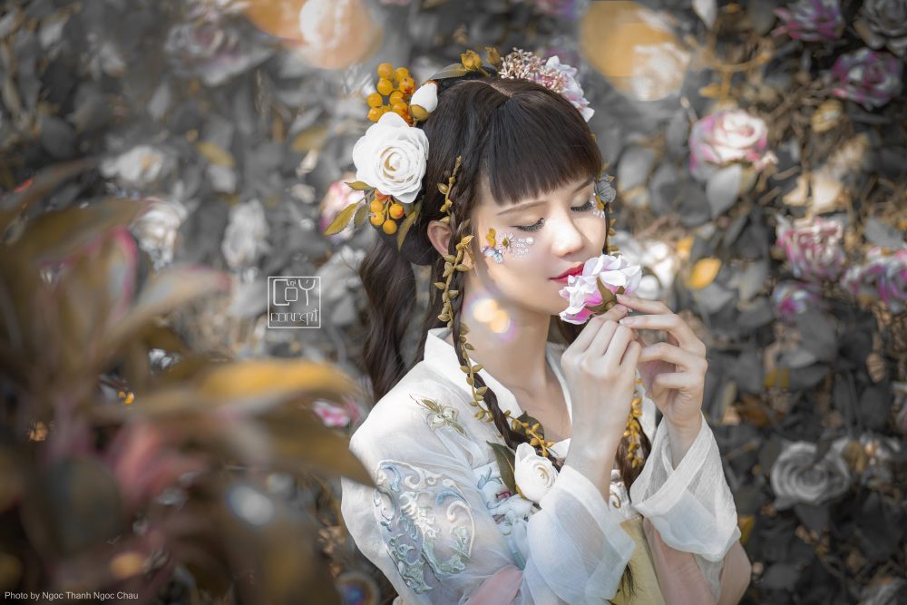 DAISY IN WONDERLAND SPRING FAIRY » Cổ Ý Concept